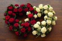 Red Roses and White Roses
